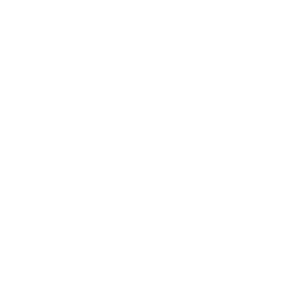 Multiplier Agency